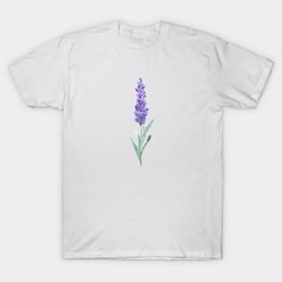 Lavender T-Shirt